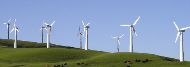 Hollyford Windfarm